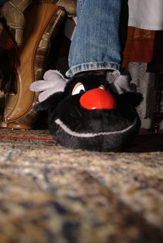 dsc07699